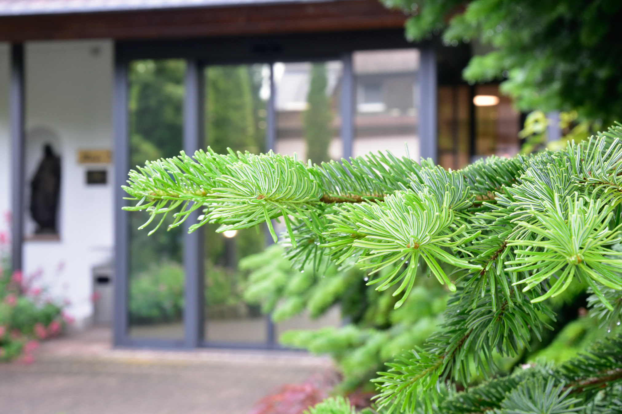 20240602082158 AOA0297